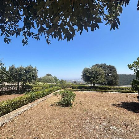 Impalata Villa San Michele By Sthey מראה חיצוני תמונה