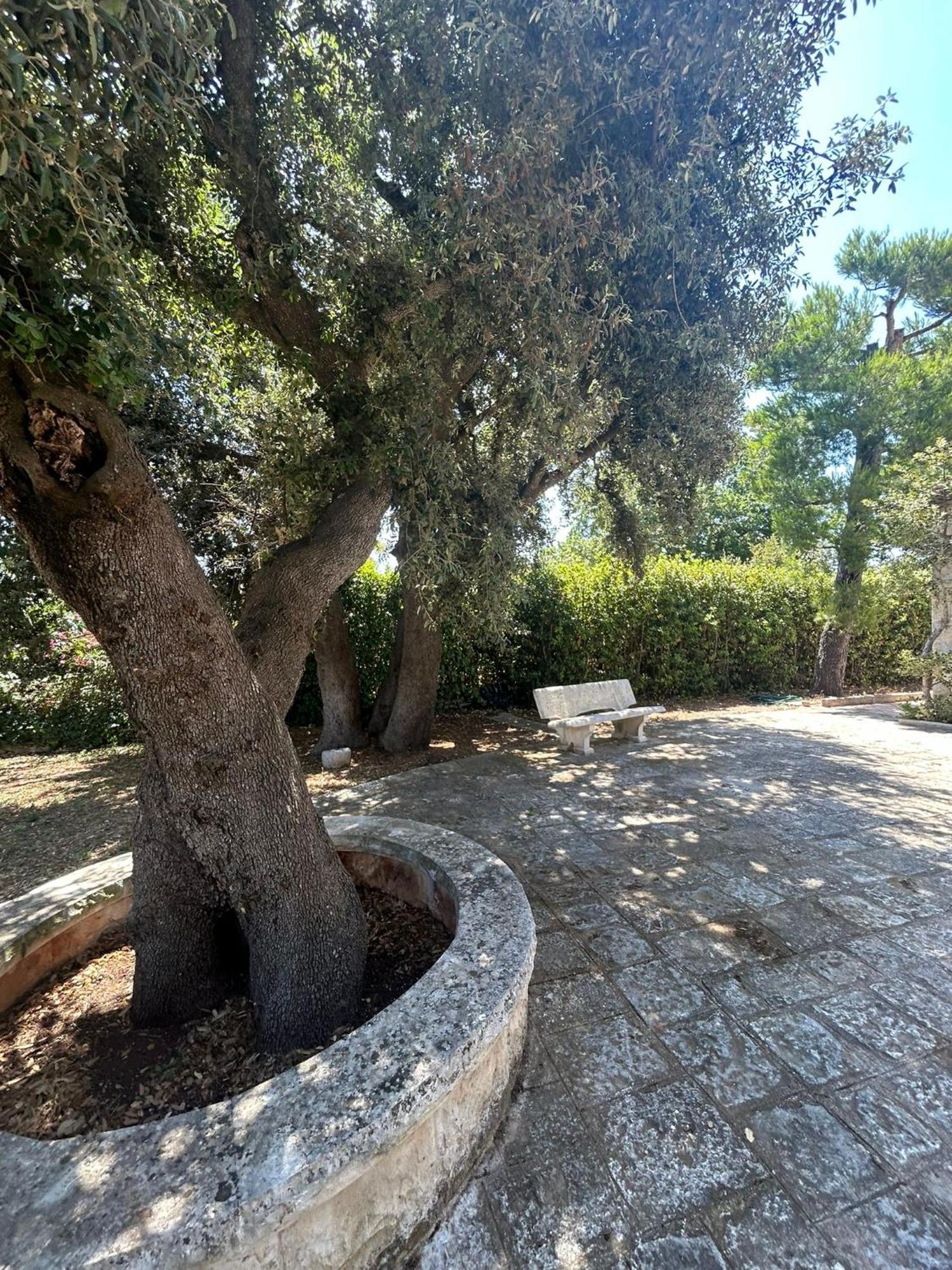 Impalata Villa San Michele By Sthey מראה חיצוני תמונה